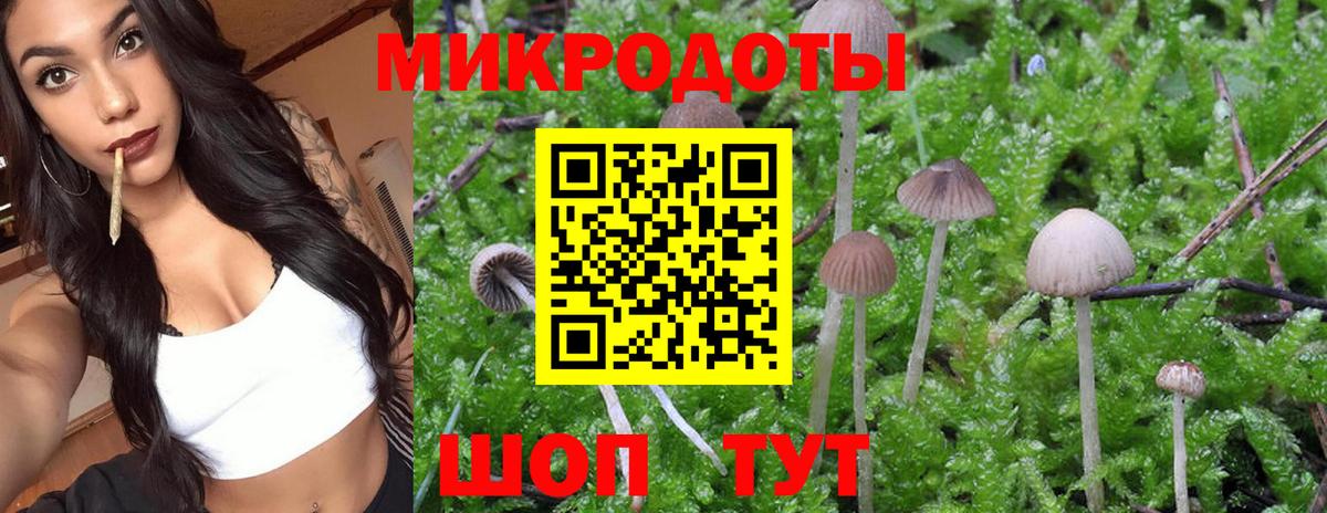 где найти наркотики  Вход с VPN  Петропавловск-Камчатский  Галлюциногенные грибы GOLDEN TEACHER  Псилоцибиновые грибы MAGIC MUSHROOMS 